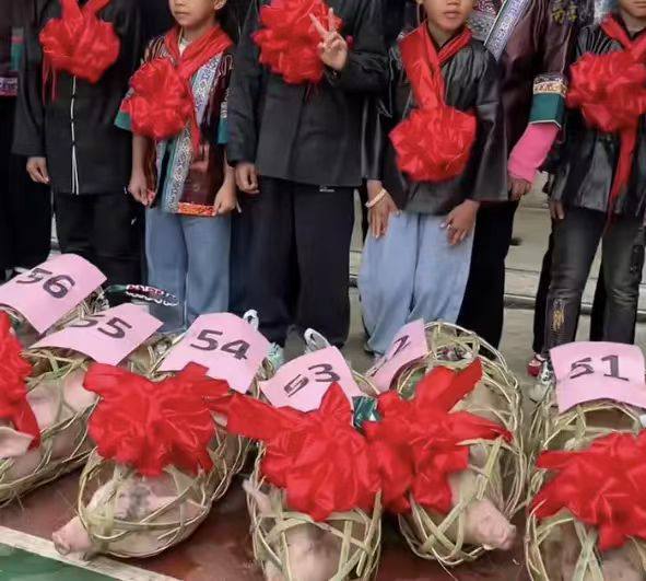 贵州 中学 奖励 挺 丰富的啊 校长 实在人 🤣🤣🤣🤣🤣🤣🤣🤣🤣🤣贵州 中学 奖励 挺 丰富的啊 校长 实在人 🤣🤣🤣🤣🤣🤣🤣🤣🤣🤣