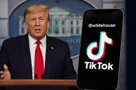 昨天白宫tiktok官号正式上线😒