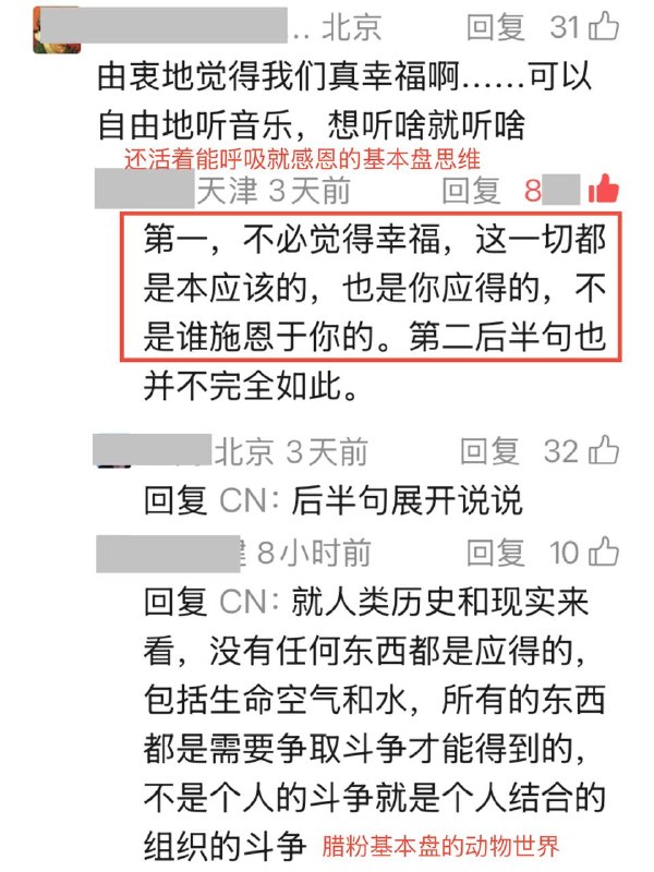离谱！阿富汗数百件乐器被焚毁，聆听音乐被定为犯罪！离谱！阿富汗数百件乐器被焚毁，聆听音乐被定为犯罪！