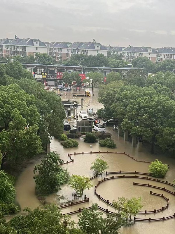 上海 #暴雨上海 #暴雨