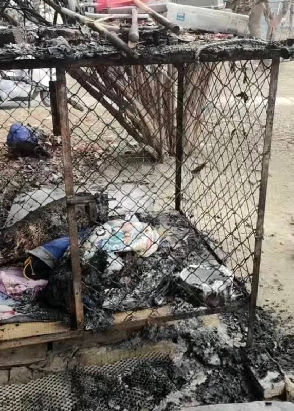 2月1日 江苏连 云港市东海县，网传某小区两名男孩玩 #烟花 时，将点燃的烟花扔进 狗笼 导致一只养了7年的‌ 萨摩耶 ‌被 活活烧死2月2日，狗主人发布微博称