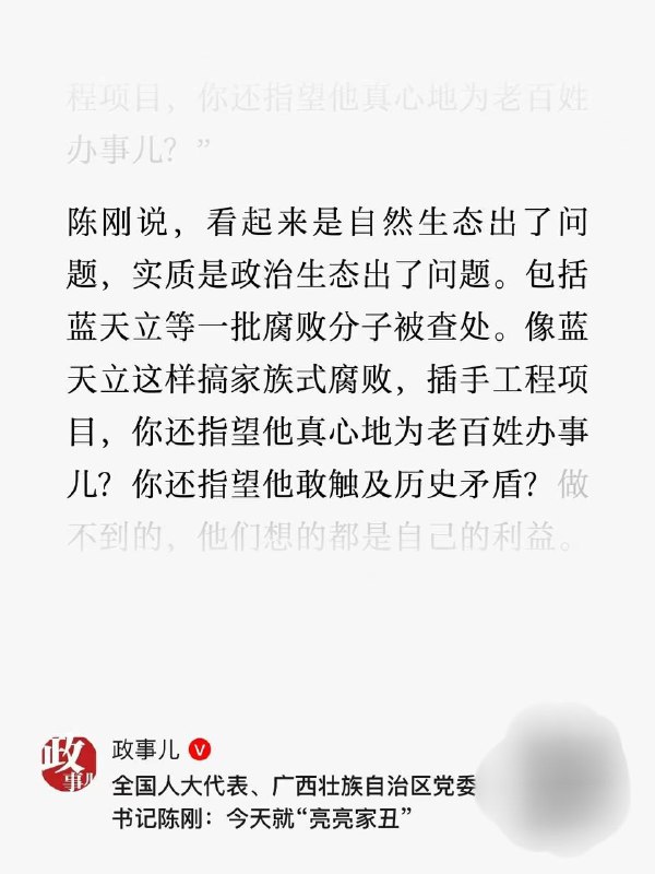 两会团组开放日，广西书记陈刚自曝2025两大家丑