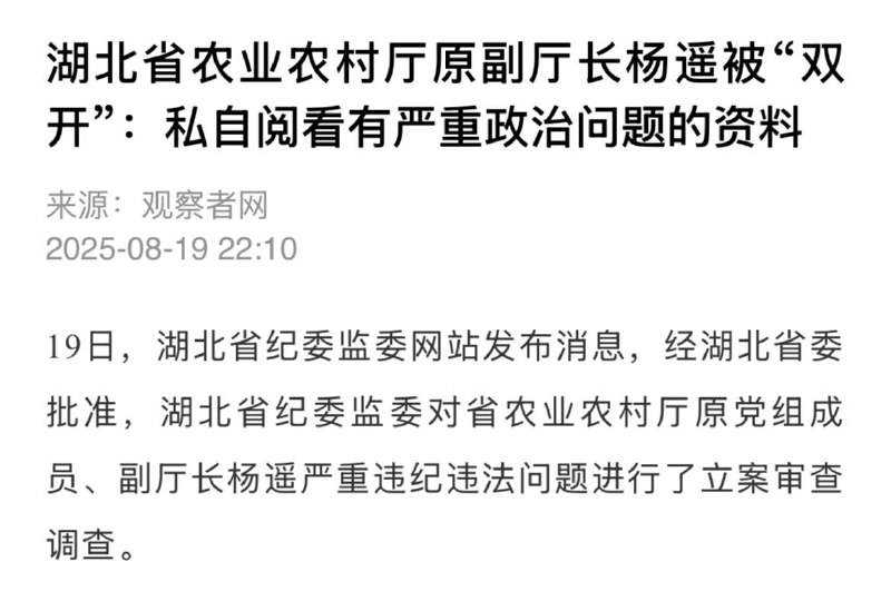 众所周知，“资料”是中性，记录性质的文件，那么什么资料有严重政治问题呢🤔