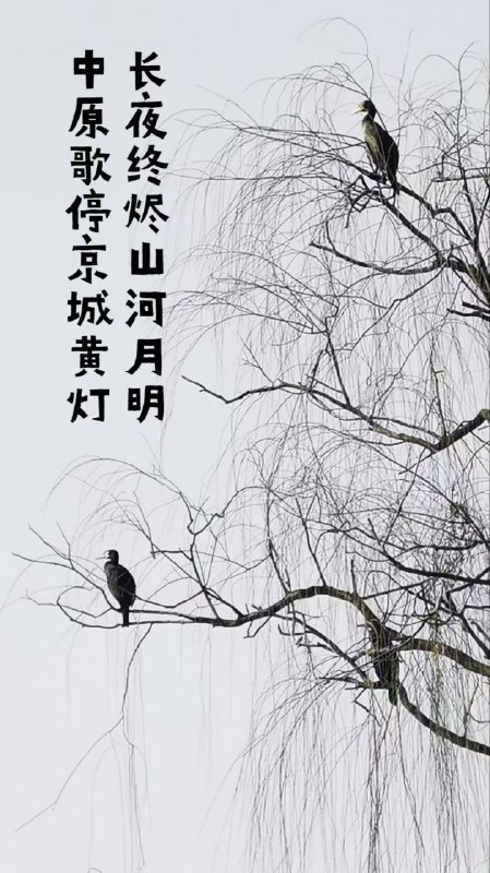 在今天，叫粉蛆‘夹头蛆