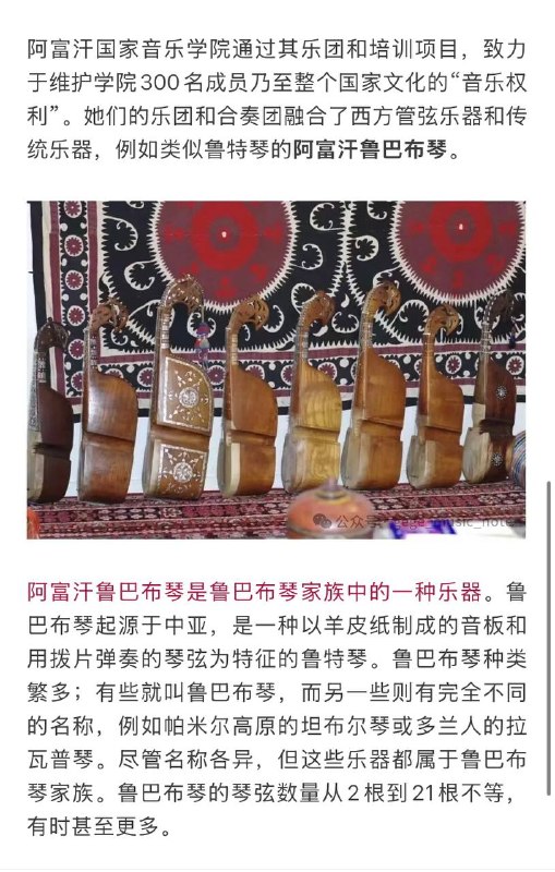 离谱！阿富汗数百件乐器被焚毁，聆听音乐被定为犯罪！离谱！阿富汗数百件乐器被焚毁，聆听音乐被定为犯罪！