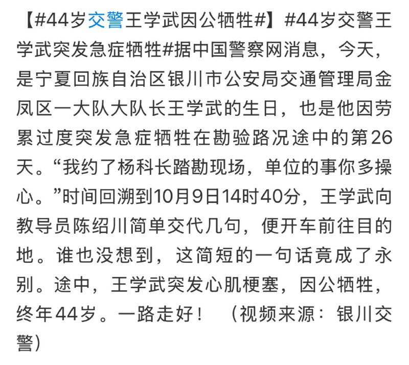 黑皮狗好死之拦路狗王学武黑皮狗好死之拦路狗王学武