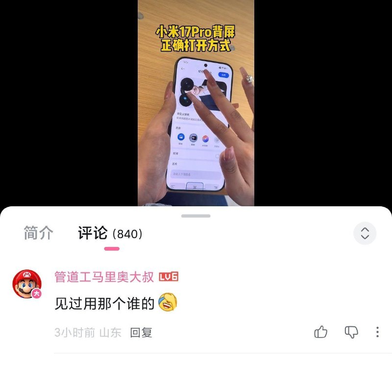 审查员