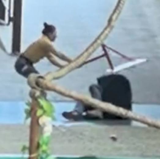 #杭州 野生动物园 #熊 表演 时突然 袭击人 太吓人了#杭州 野生动物园 #熊 表演 时突然 袭击人 太吓人了