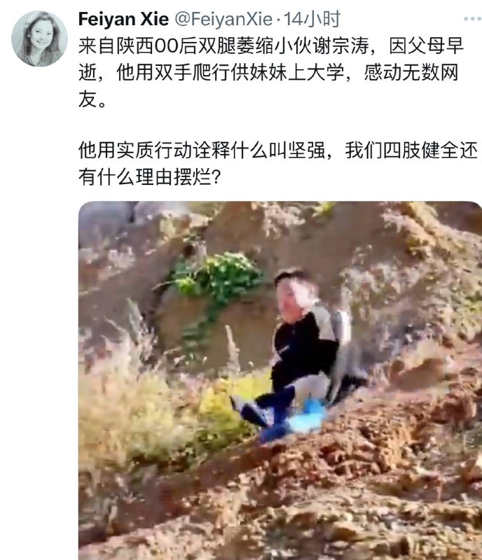 不以为耻的五毛