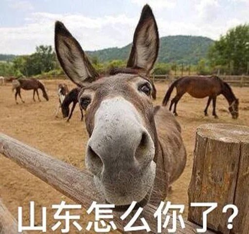 为什么经常会看到 #山东 #民风彪悍 ？相关阅读