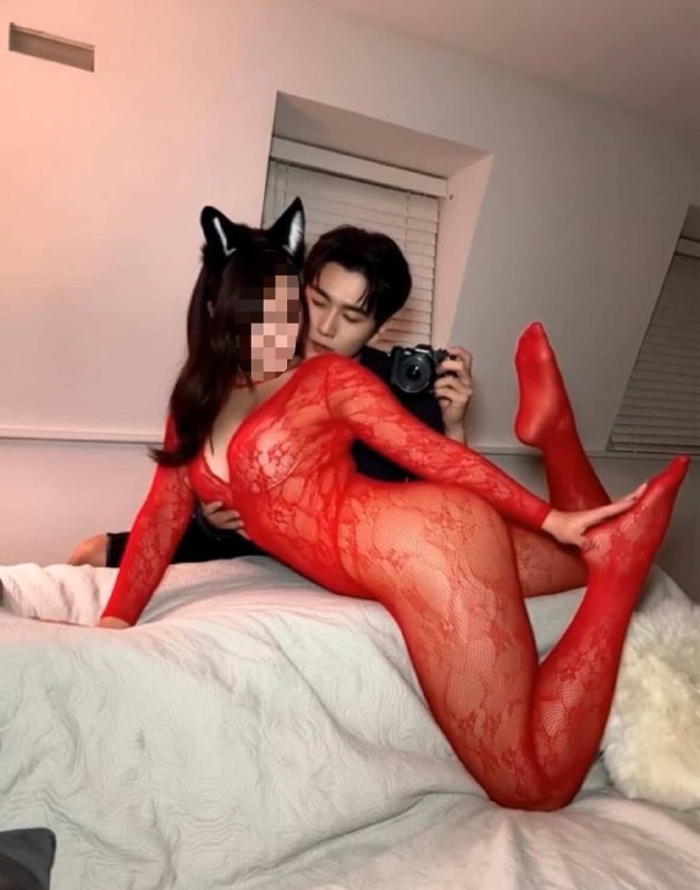 投稿