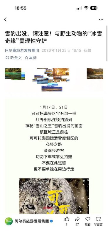 可可托海雪豹伤人事件！ 想跟雪豹贴贴，结果被咬得满脸是血！1月23日，新疆可可托海景区发生一起令人痛心又警醒的野生动物袭击事件