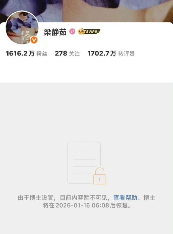 可惜不是你