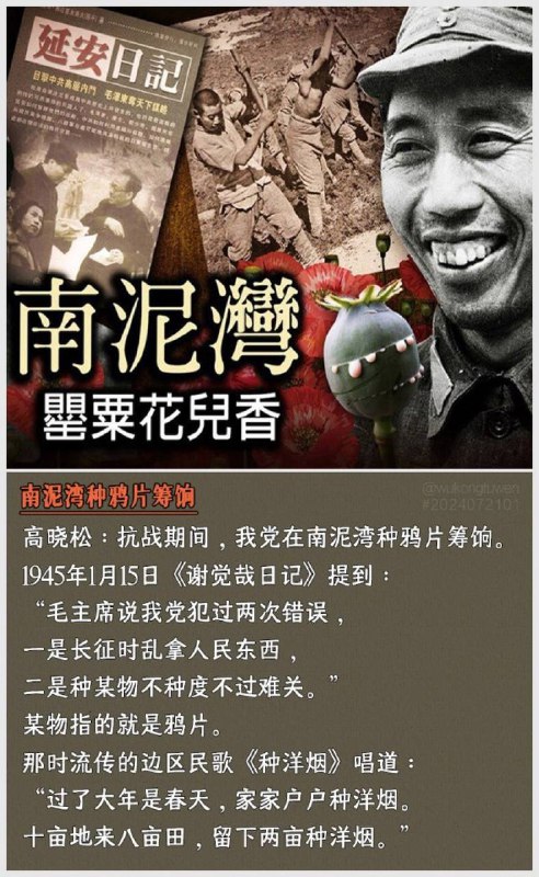💥高晓松