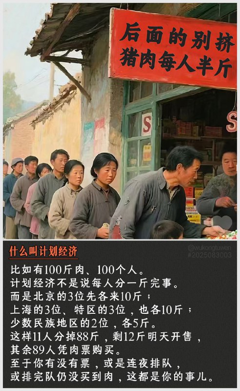 啥叫计划经济？比如有100斤肉、100个人