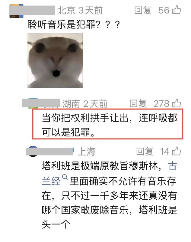 离谱！阿富汗数百件乐器被焚毁，聆听音乐被定为犯罪！离谱！阿富汗数百件乐器被焚毁，聆听音乐被定为犯罪！