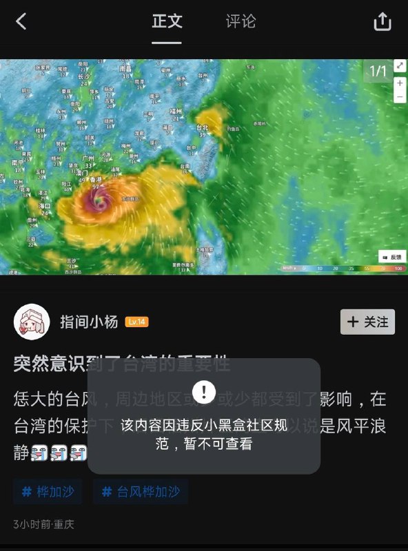 诶，言论自由