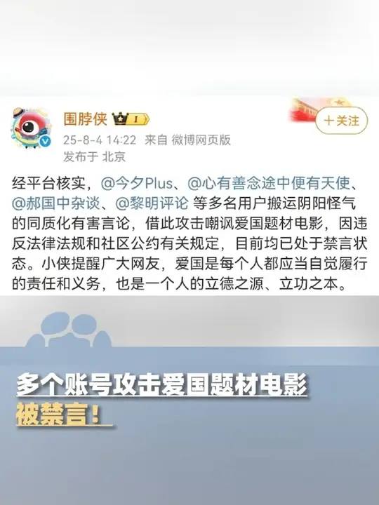 “有的人认为我们应该多抗日，才爱国，但那爱的是蒋介石的国”by 毛泽东不正确的回忆 不为他人筑梦