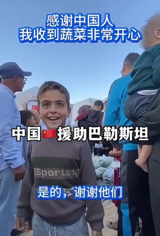 加沙人口增长速度在这一轮巴以冲突之前世界第一，中国人都不生了，还援助巴勒斯坦，看来中国粉红猪是不配吃饲料的