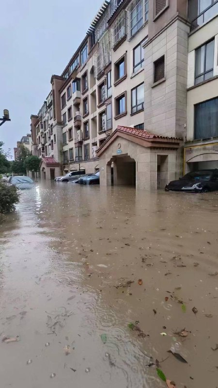 上海 #暴雨上海 #暴雨