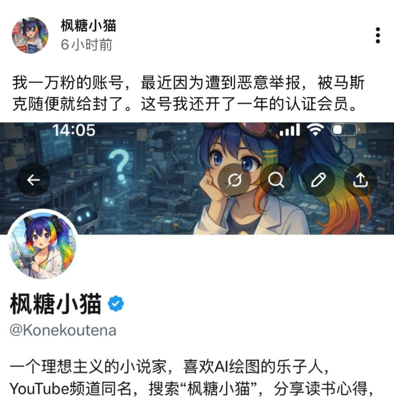 曾经的滞日粉蛆，现在的隔代啃老废物（啃外祖父母）疯唐孝猫已被马斯克斩杀