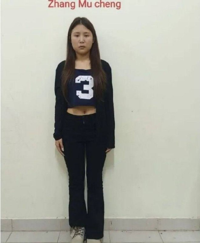网红“橙子姐姐”在柬埔寨被捕、涉网络诈骗与跨国人口贩运此前，在网络上热议的网红“ 橙子姐姐 ”在 柬埔寨 失联 一事