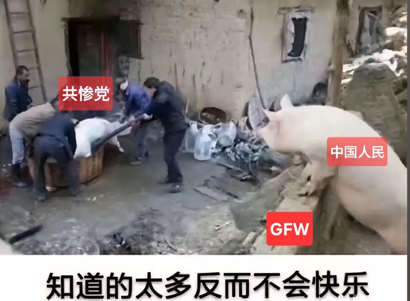 “知道的太多反而不会快乐”#翻墙 #共惨党 #CCP #China