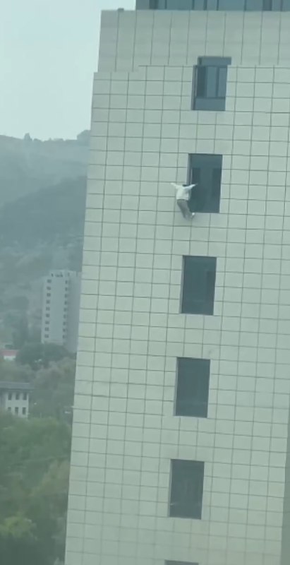 不想跳...又好面子...算了..还是掉吧..反正下面有充气垫...结果...消防员把充气垫子放歪了🙏#跳楼不想跳...又好面子...算了..还是掉吧..反正下面有充气垫...结果...消防员把充气垫子放歪了🙏#跳楼