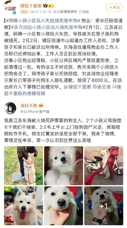 到底是谁在替狗主人和解
