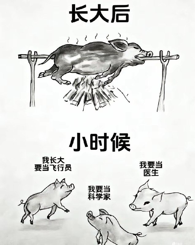太真实了😅