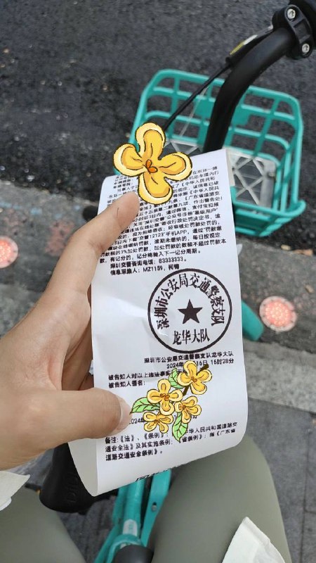 在深圳骑自行车也能被开罚单😡跟着好多电动车自行车一起走，突然他们都拐弯了（此时此刻，我无比好奇，我看着他们也都带头盔了）