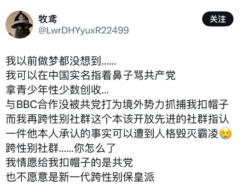 一个打着“扭转机构毁灭者”，接受BBC采访