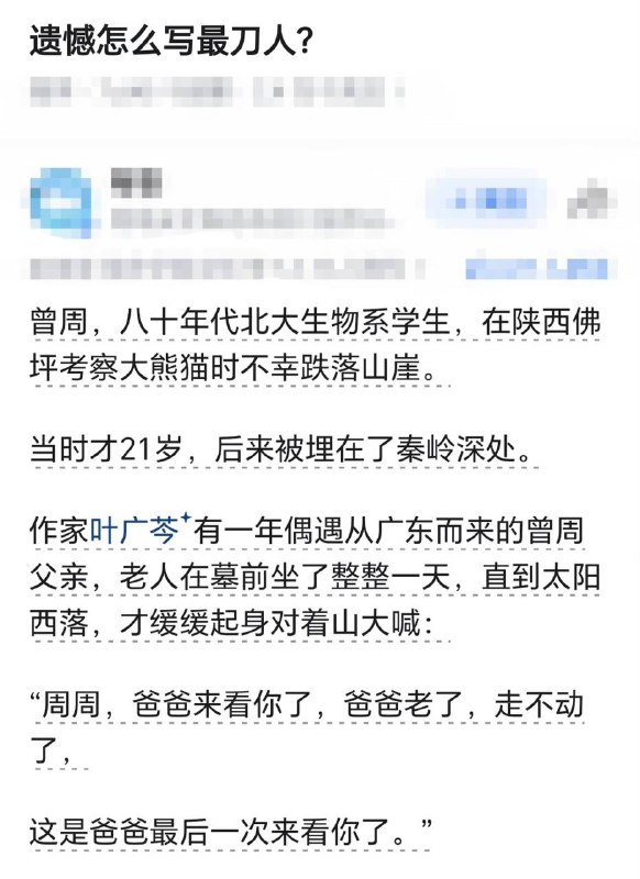 黑白哈基熊可比奴隶的命值钱多了