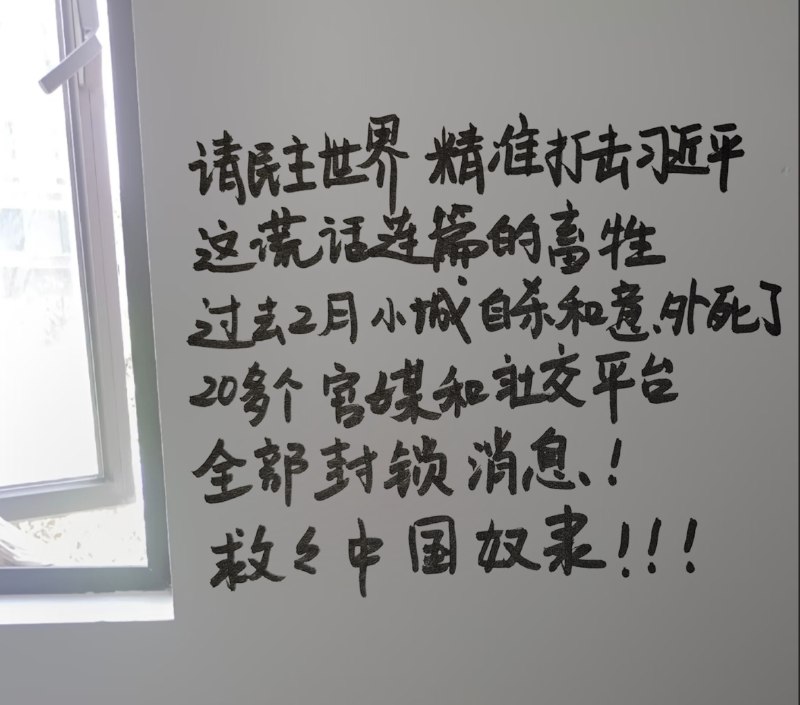 #厕所革命#厕所革命