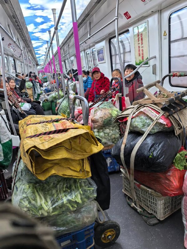 武汉老人每天一早乘坐地铁去卖菜