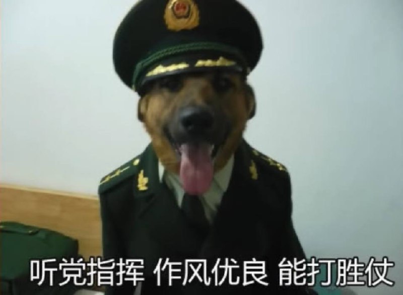 辱军了