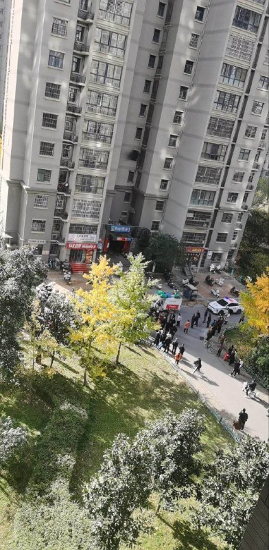 网友投稿