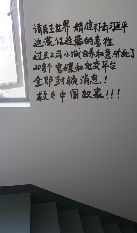 #厕所革命#厕所革命