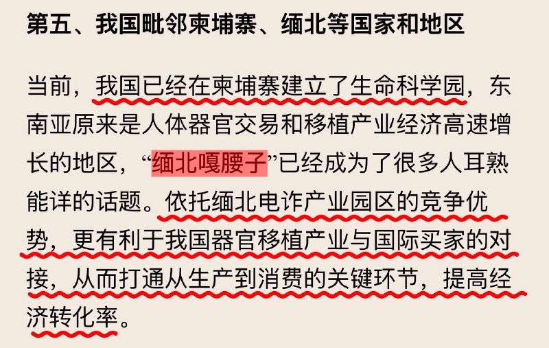 中国婴儿医疗死亡飙升内幕