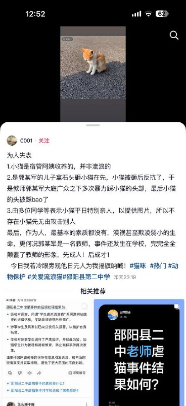 湖南 邵阳二中 一中学 教师 被指当学生面 踩死 流浪猫校方