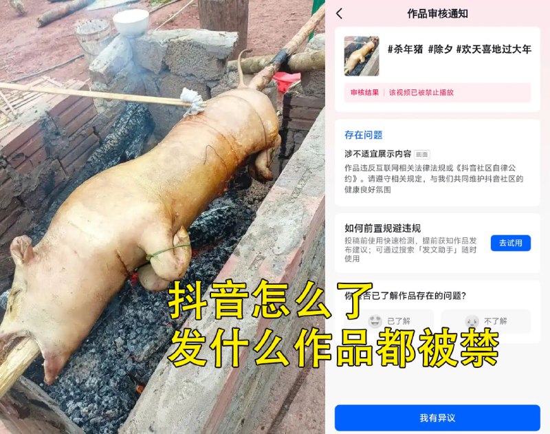 过年，杀猪视频被禁