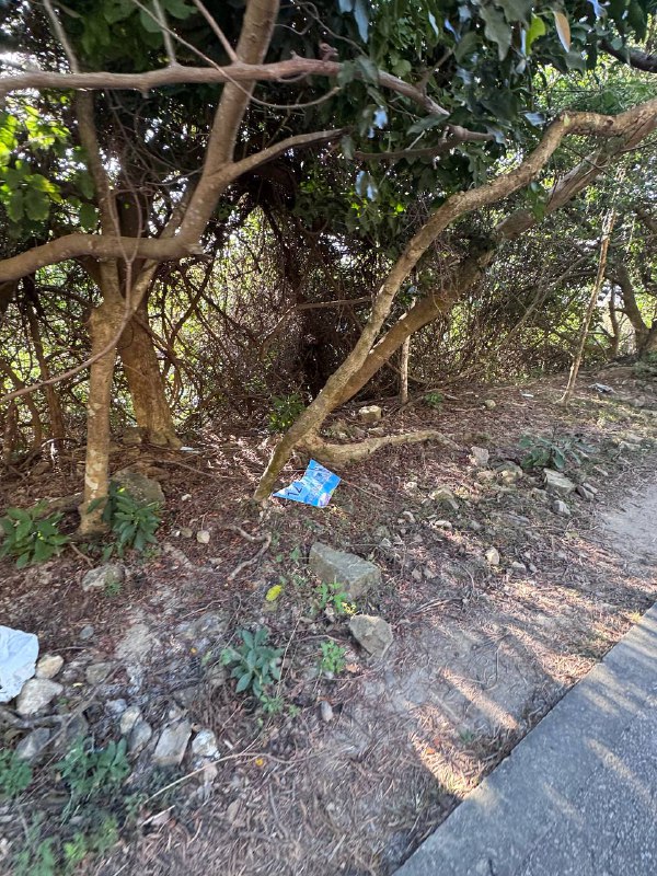 請垃圾們不要破壞香港環境請垃圾們不要破壞香港環境
