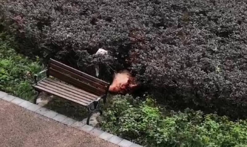 6月6日，重庆 市公安局渝北区分局发布警情通报