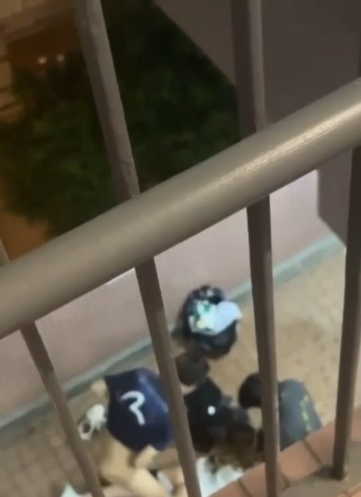 #香港 #屋苑平台 #3P #野战香港屋苑平台惊爆3P野战，真实偷拍画面让人硬到不行！夜晚寂静，一个女孩趴地上，俩猛男直接开干,一个脱她裤子后入猛操，撞得她身子狂抖，快来围观这波极品3P狂欢吧！#香港 #屋苑平台 #3P #野战香港屋苑平台惊爆3P野战，真实偷拍画面让人硬到不行！夜晚寂静，一个女孩趴地上，俩猛男直接开干,一个脱她裤子后入猛操，撞得她身子狂抖，快来围观这波极品3P狂欢吧！