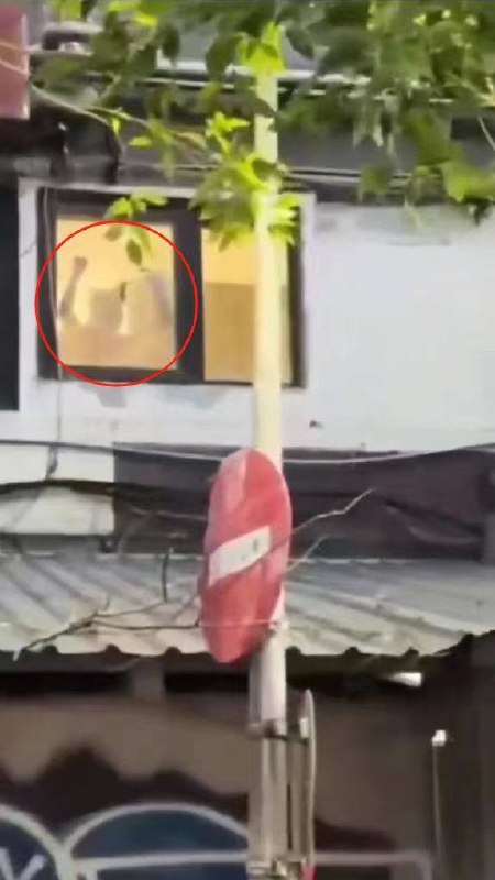 上海路炒米粉，老瓜了，别找我要了🌚#上海 #炒米粉上海路炒米粉，老瓜了，别找我要了🌚#上海 #炒米粉