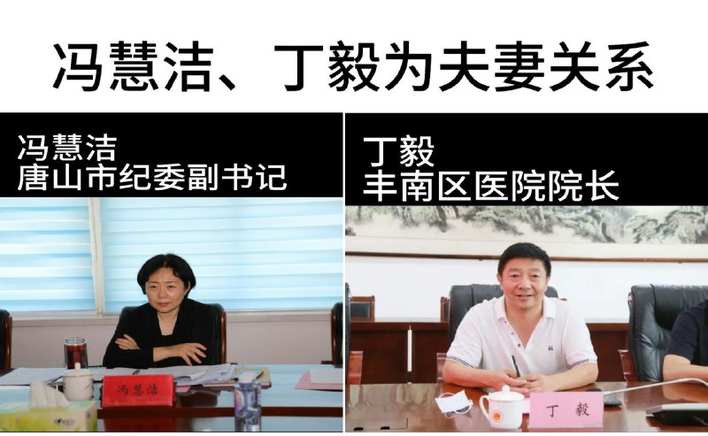 唐山市纪委副书记冯慧洁和丰南区医院院长丁毅夫妇、于2014年2月19日晚，指使丰南区公安局副局长陈柱纠集带领黑社会手持镐柄等凶器，在路北区凶残殴打伤残丰南区中医院外科主任翟玉普，并残忍将打伤手臂和肋骨多处骨折的翟玉普装入汽车后备箱拉去丰南区黑社会家里非法拘禁……黑社会头目李建伟、绰号二老嫖是丰南区公安局副局长田树鹏的姐夫，陈柱从李建伟身上花费42万元人民币