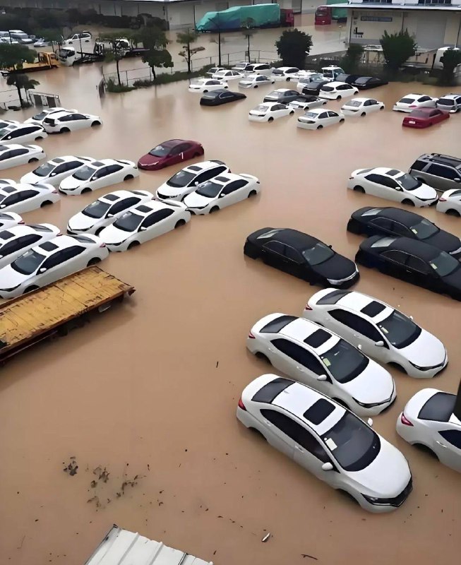 车主要哭死一大片～#长沙暴雨车主要哭死一大片～#长沙暴雨