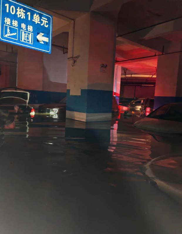 车主要哭死一大片～#长沙暴雨车主要哭死一大片～#长沙暴雨