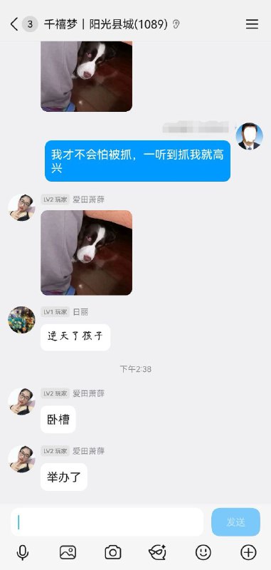 当我在墙内QQ群用习某人头像时现状