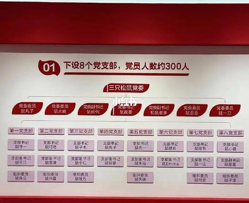 墙国鼠支部